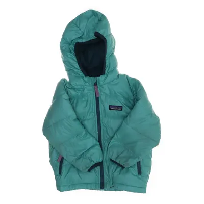 Jack (Groen) van Patagonia Dons, Polyester