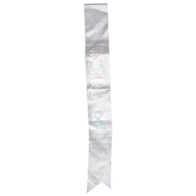 Kostuum accessoires (Zilver)