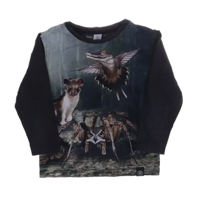 Långärmad t-shirt (Grön, Grå, Flerfärgad) från Molo Bomull