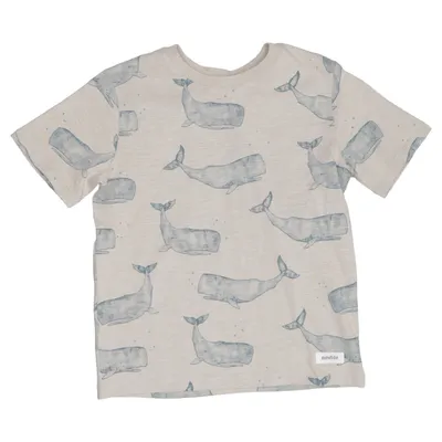 T-shirt (Beige, Blue) from Newbie by KappAhl Cotton