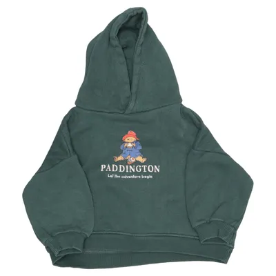 Sweat à capuche (Vert) de Zara Coton, Élasthane