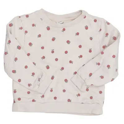 Sweatshirt (Beige, Rød, Grøn) fra Buddy and Hope Bomuld