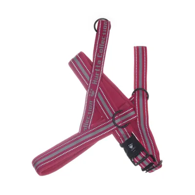 Hundsele (Rosa) från Hurtta
