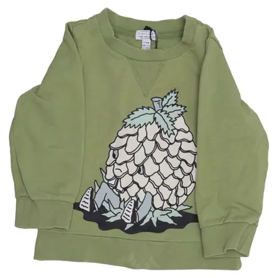 Sweatshirt (Grøn) fra Valiant