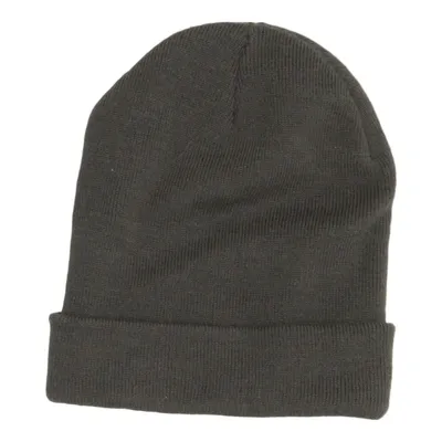 Beanie (Green) from Beechfield Acrylic