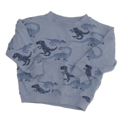 Sweatshirt (Blauw, Meerkleurig) van Rikiki Katoen