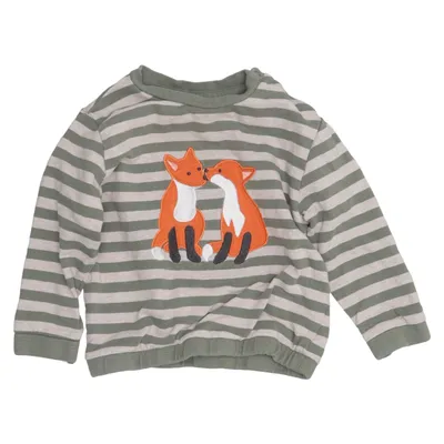 Sweatshirt (Green, Beige, Multicolored) from Alana Cotton