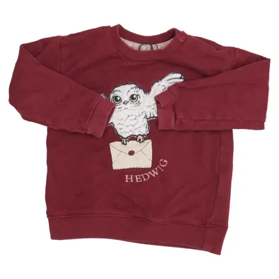 Strickpullover (Rot) von Harry Potter x H&M Baumwolle