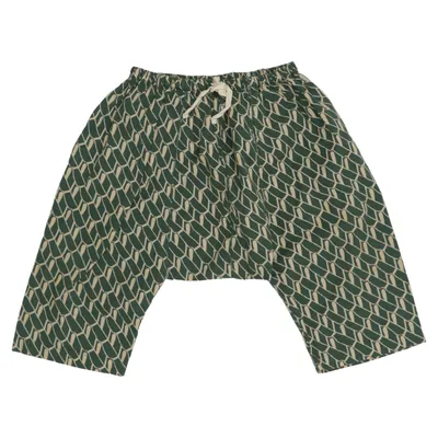 Harem pants (Green, Beige) from Caramel Cotton