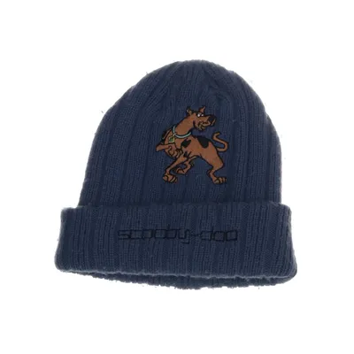 Beanie (Blue) from Scooby-Doo Acrylic