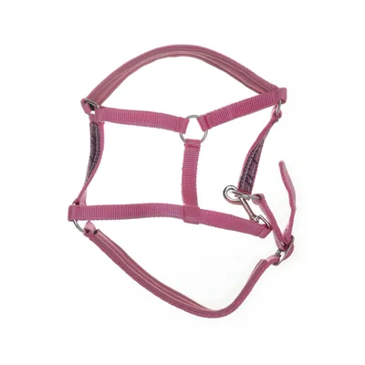 Hästtillbehör (Rosa)