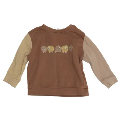 Sweatshirt (Bruin, Beige) van Alana Organisch katoen