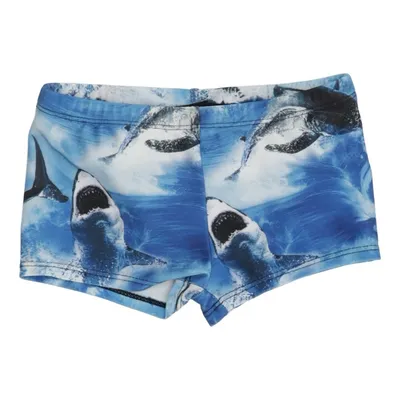 Badbyxor (Blå, Flerfärgad) från Molo Swim