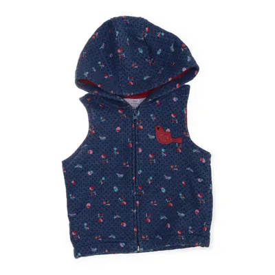 Vest (Blue, Red, Multicolored) from LC Waikiki Baby