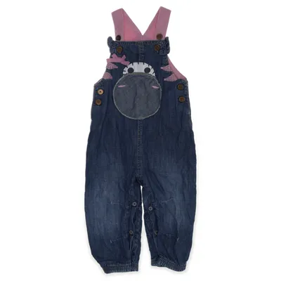 Tuinbroek (Blauw, Meerkleurig) van Next Baby