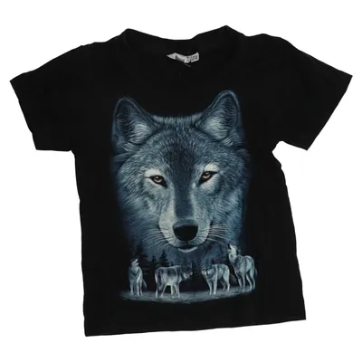 T-shirt (Black, Blue) from Rock Eagle Cotton
