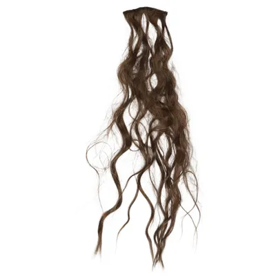Extensions (Bruin)