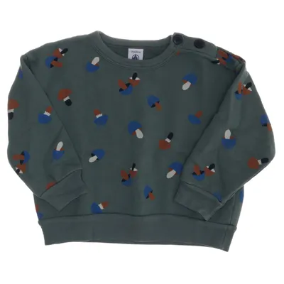 Sweatshirt (Green, Multicolored) from Petit Bateau Cotton