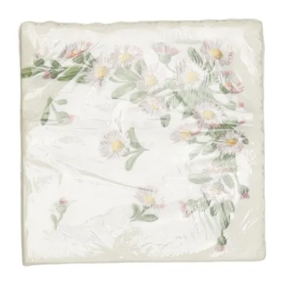 Serviette de table (Blanc, Multicolore) de Wida