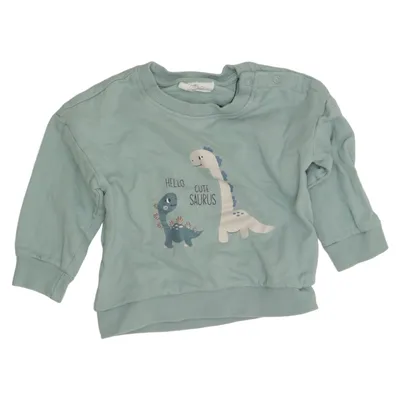 Sweatshirt (Grøn) fra Tiny One Bomuld