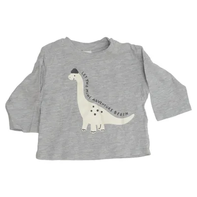 Långärmad t-shirt (Grå) från H&M Bomull, Viskos