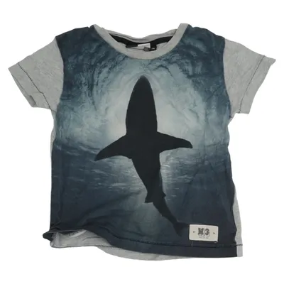 T-shirt (Ragno) from Molo Cotton