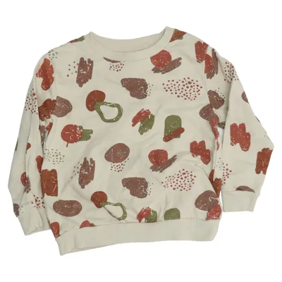 Sweatshirt (Beige, Multicolored) from Alana
