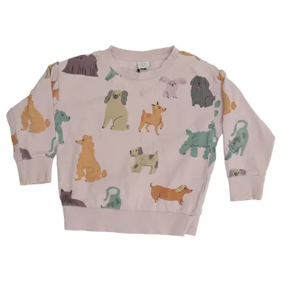 Sweatshirt (Pink, Multicolored) from Lindex Kids Cotton, Elastane