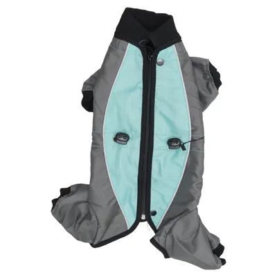 Dog clothes (Gray, Green) from Zooplus
