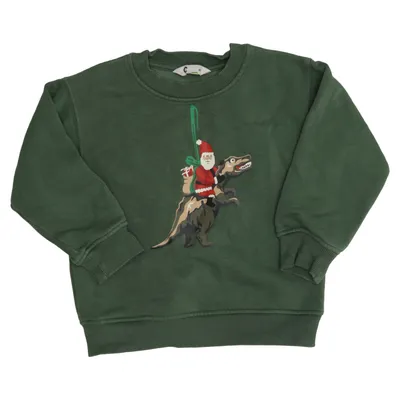 Sweatshirt (Grün, Mehrfarbig) von Cubus Mini Bio-Baumwolle, Polyester