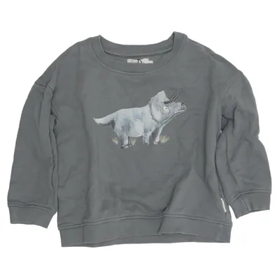 Sweatshirt (Grå) fra Leevje Økologisk bomuld
