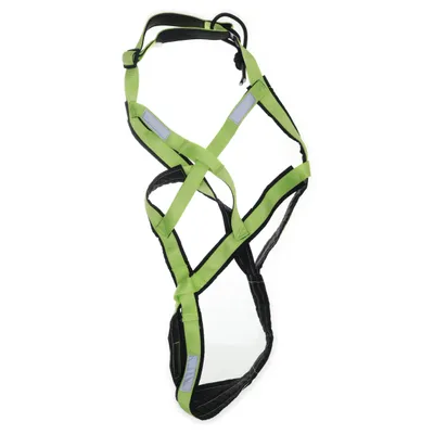 Hundsele (Grön, Svart)