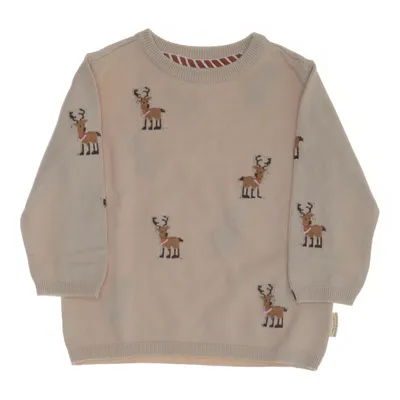 Tröja (Beige, Flerfärgad) från Little Dutch Bomull