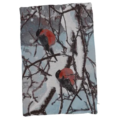 Cushion (Blue, Multicolored)