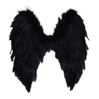 Costume accessories (Black)