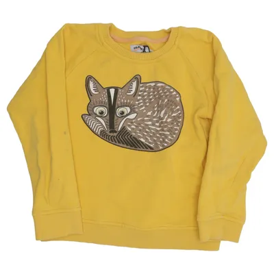 Sweatshirt (Jaune, Marron) de Filemon Kid Coton biologique