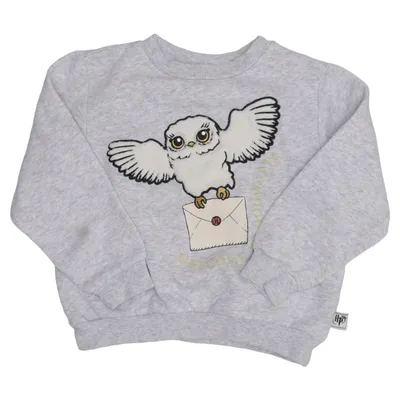 Sweatshirt (Gris, Multicolore) de Harry Potter x H&M Coton, Polyester