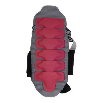 Ryggskydd (Grå, Rosa) från Dainese