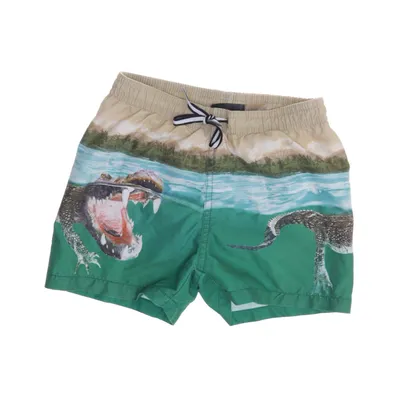 Badshorts (Grön, Flerfärgad) från Molo Swim