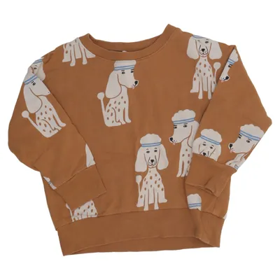 Sweatshirt (Brown, White, Blue) from Lindex Kids Cotton, Elastane