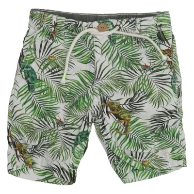 Shorts (Green, Multicolored) from Nathalie Lété x H&M Cotton, Polyester