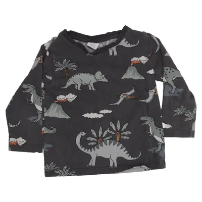 Långärmad t-shirt (Grå, Flerfärgad) från Lindex Kids Bomull
