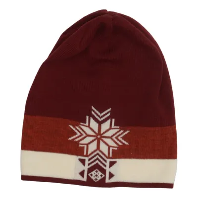 Beanie (Rood, Meerkleurig) van Dale of Norway Merinowol