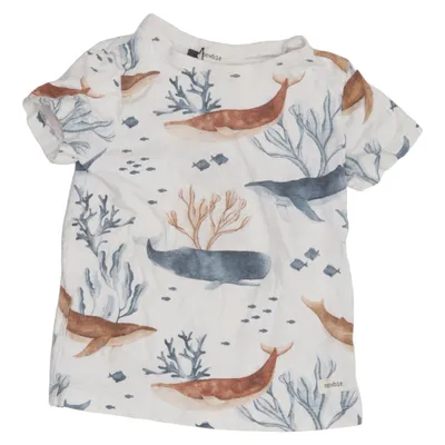 T-shirt (White, Blue, Brown) from Newbie by KappAhl Cotton