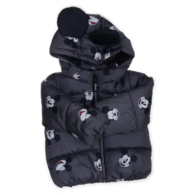 Jacka (Grå, Flerfärgad) från H&M x Disney Polyester