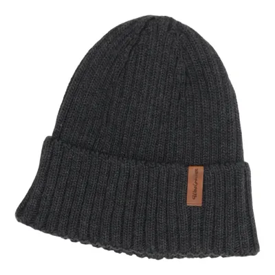 Beaniemössa (Grå) från Woolpower Merinoull, Polyamid