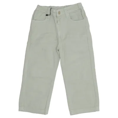 Chinos (Green) from The New Chapter Cotton, Elastane