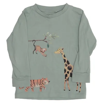 Långärmad t-shirt (Grön, Flerfärgad) från Next Bomull