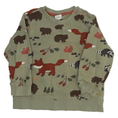 Sweatshirt (Green, Brown, Multicolored) from H&M Cotton