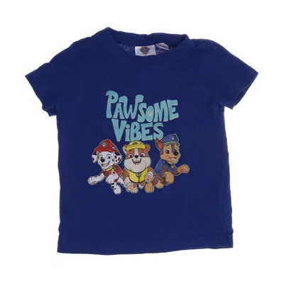 T-shirt (Blå) från Paw Patrol Bomull